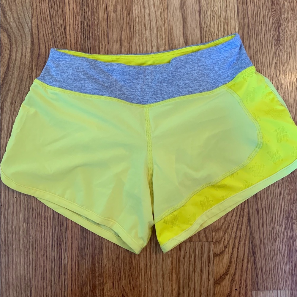 rabbit catch me if you can shorts